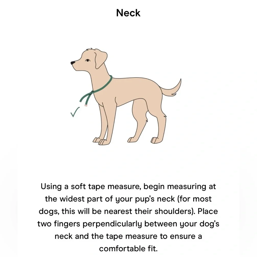 Wild One Dog Harness 3.0 - Large - Orchid